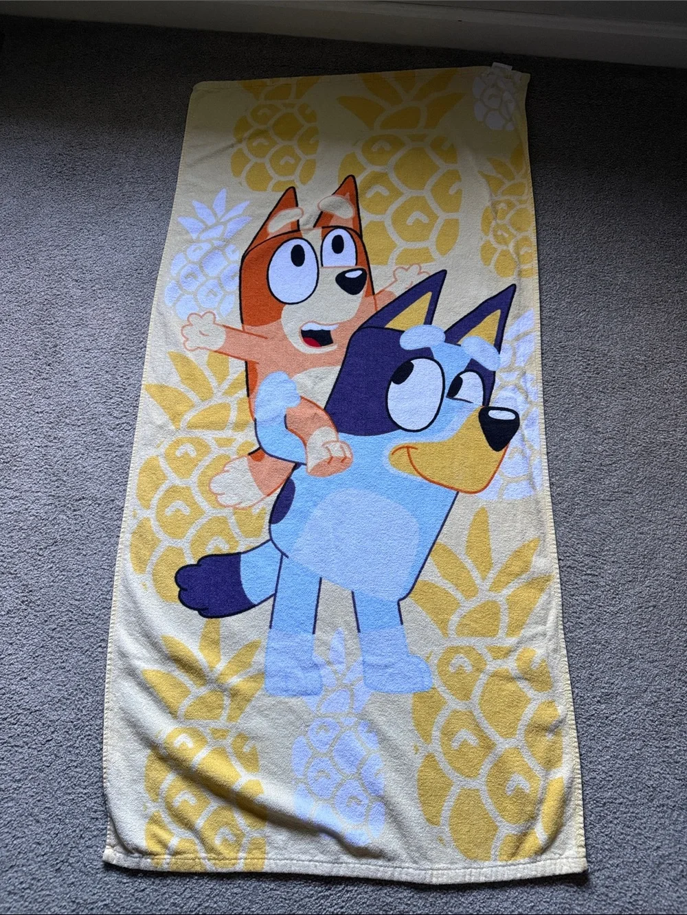 Kids Blue and Yellow Character Swim Towel - Bluey and Bingo